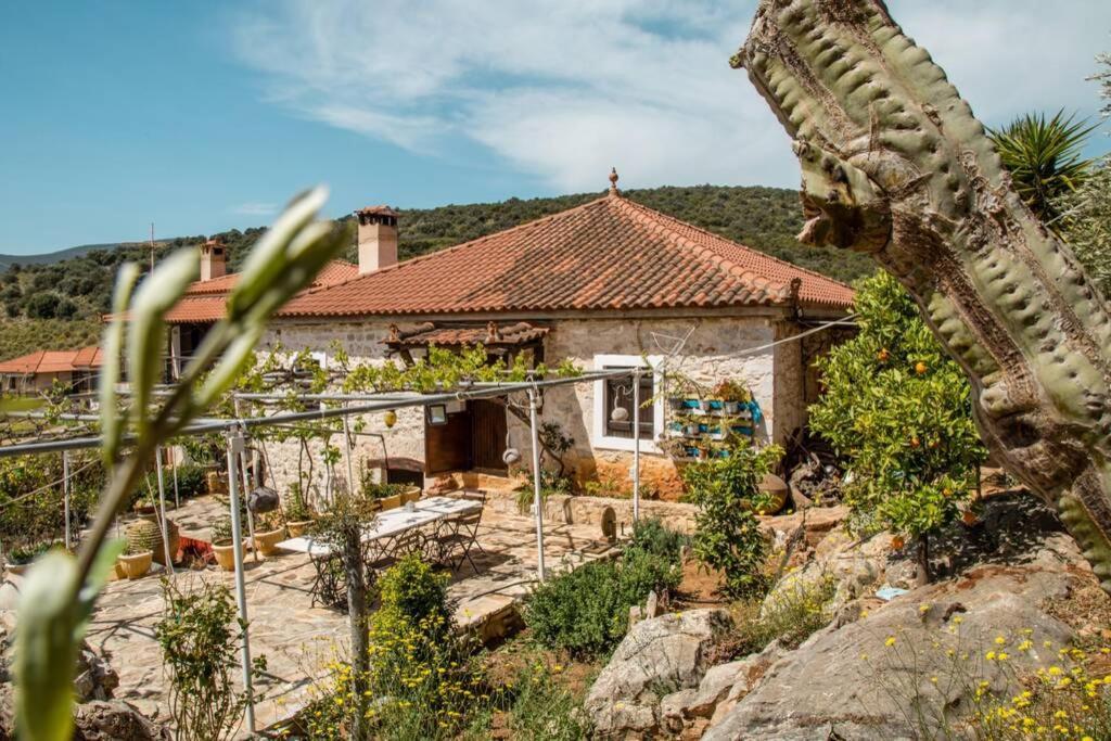 Villa Pontinos Old House Míloi Exterior foto